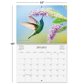 Current 2026 Hummingbirds Wall Calendar, 12-Inch x 9-Inch Size Closed, 18-Inch Size Open, Large Bookstore-Quality, Spiral-Bound Hanging Monthly Wall Calendars for Kitchen & Office