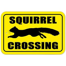 GRAPHICS & MORE Plastic Sign Squirrel Crossing - 8" x 12" (20.3cm x 30.5cm)
