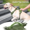 Sunraymascota No Pull Dog Harness, Puppy Vest with Front Clip