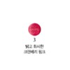 decorate Decorte AQ Lipstick Department Store Moist Fluorescent Pink Lip