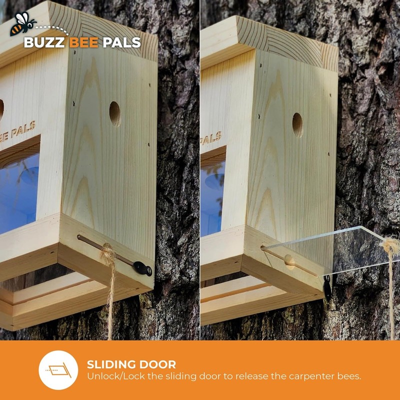 Carpenter Bee Traps for Outside - Carpenter Bee Patrol Trap