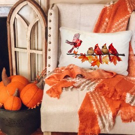 RABUSOFA Fall Pillow Covers 12x20 Inch, Red Cardinal Birds Holiday Decoration Autumn Thanksgiving Maple Leaves Farmhouse Patio Cushion Cases for Sofa Home Couch Outdoor Decor (Red, 12"X20")