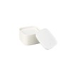 Tatsumiya Pistachio Horn 30499 Quick Washable Storage Container