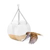 VILLFUL Round Hanging Bird Feeder Transparent Acrylic Feeding Bowl for