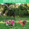 Garden Cloches for Plants Extra Large Sapbontchi Garden Cloche Chicken