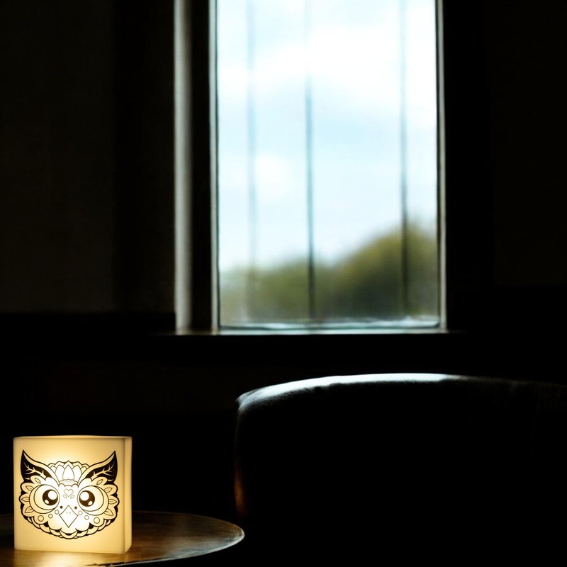 IQ Zoolight DIY Create Your Own Coloring Night Light Craft