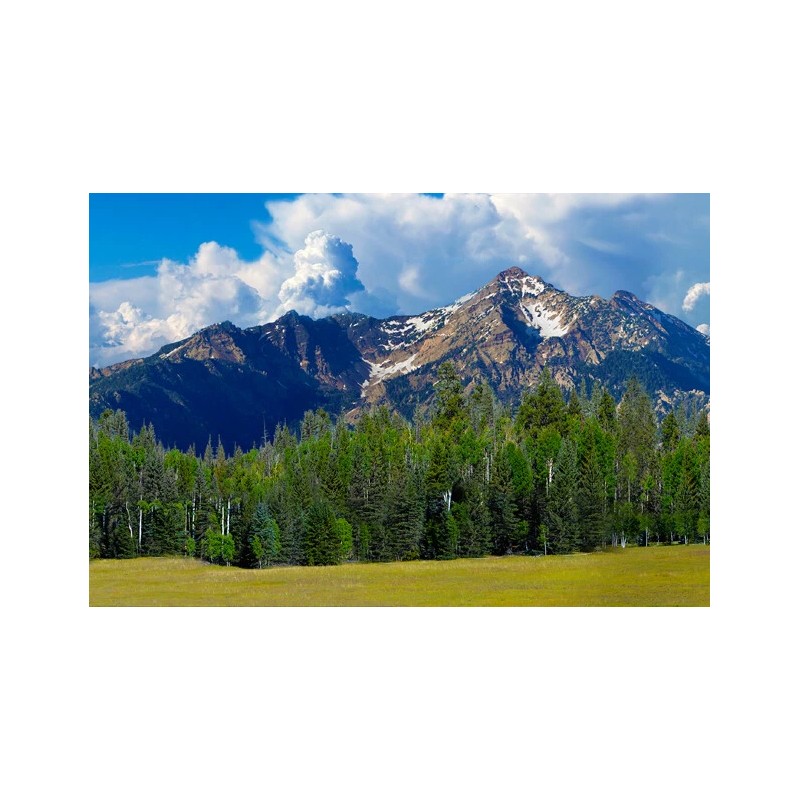 TrainJunkies Rocky Mountain Forest Model Railroad Backdrop - O Scale