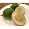 Home-Growth Feijoa Sellowiana, Pineapple Guava - 1 Pound Fresh Fruits