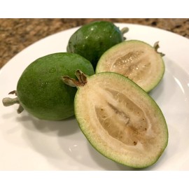 Home-Growth Feijoa Sellowiana, Pineapple Guava - 1 Pound Fresh Fruits - USA