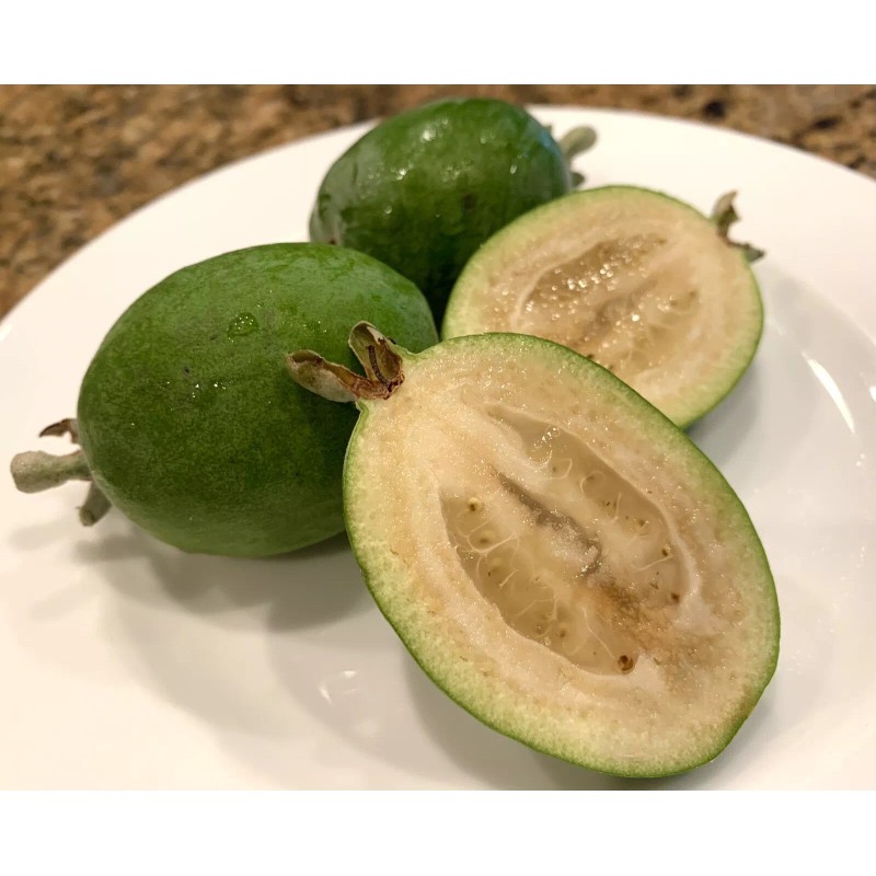 Home-Growth Feijoa Sellowiana, Pineapple Guava - 1 Pound Fresh Fruits