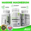 Trace Minerals + 60 Capsules - Aquamin Trace Minerals a