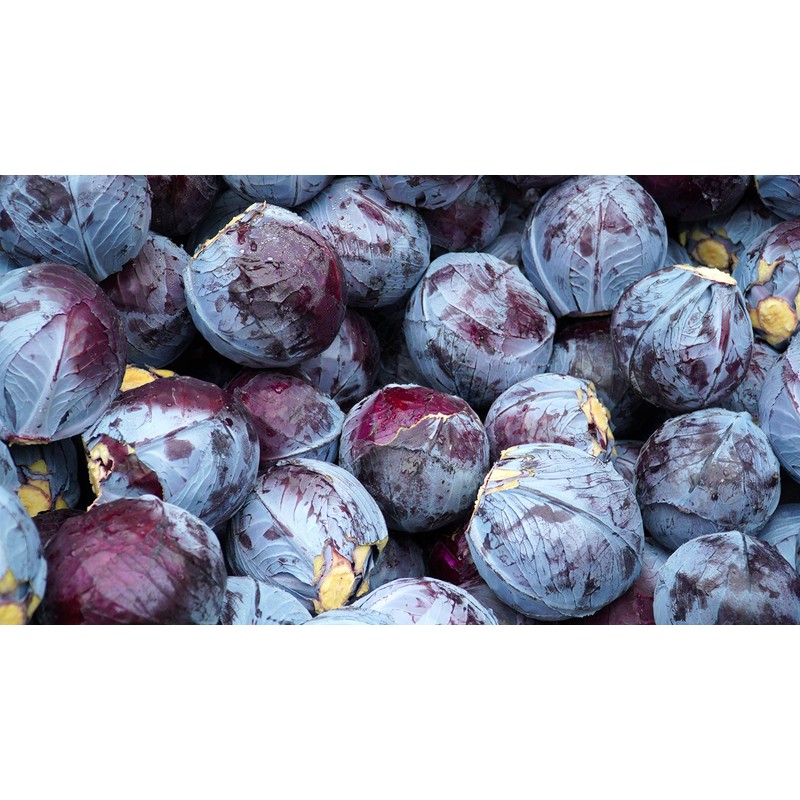 250 Red Acre Cabbage Seeds for Planting - Heirloom Non-GMO