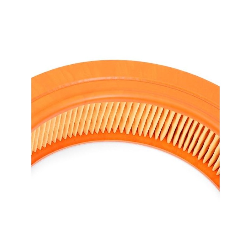 Purflux A194 Air Filter