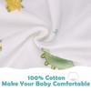 2 Pack Transition Swaddle with 2 Way Zipper, 2 in