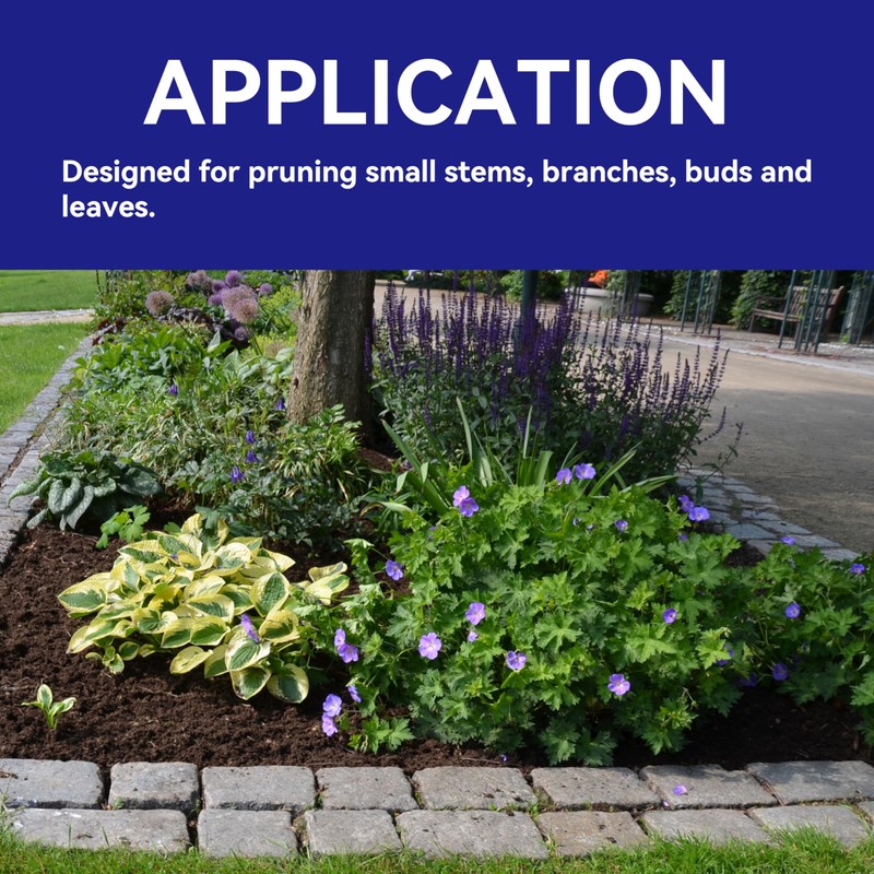 HFS(R) Bonsai Pruner Pruning Scissors for Bud and Leaves Trimmer