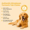 KATHMANDU'S 100% Natural Turmeric Flavored Yak Chews – Keep Dogs