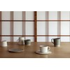 cekitay Vickie Cup & Saucers Pea tse003gr