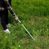 Weeding Sickle Long Handle Adjustable (26-1/2" to 42-3/4") Japanese Stainless