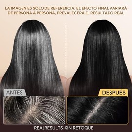 Black Hair Dye Shampoo 3 in 1, Shampoo para Canas con Tinte, Champú para Teñir el Cabello Negro, Cobertura de Canas con Ingredientes Herbales, 500ml (