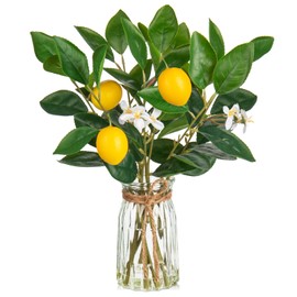 Oairse Artificial Plant Lemon