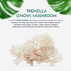 Organic Tremella Mushroom Facial Serum | Twice The Hydration of