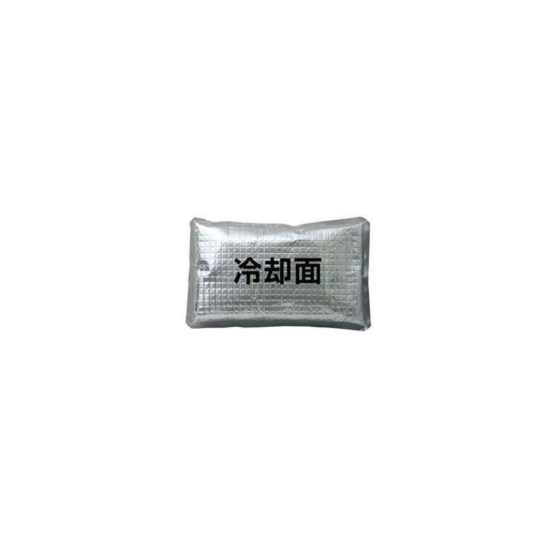 Aitos Ice Pack (1 Piece) AZ865933 101 Silver F