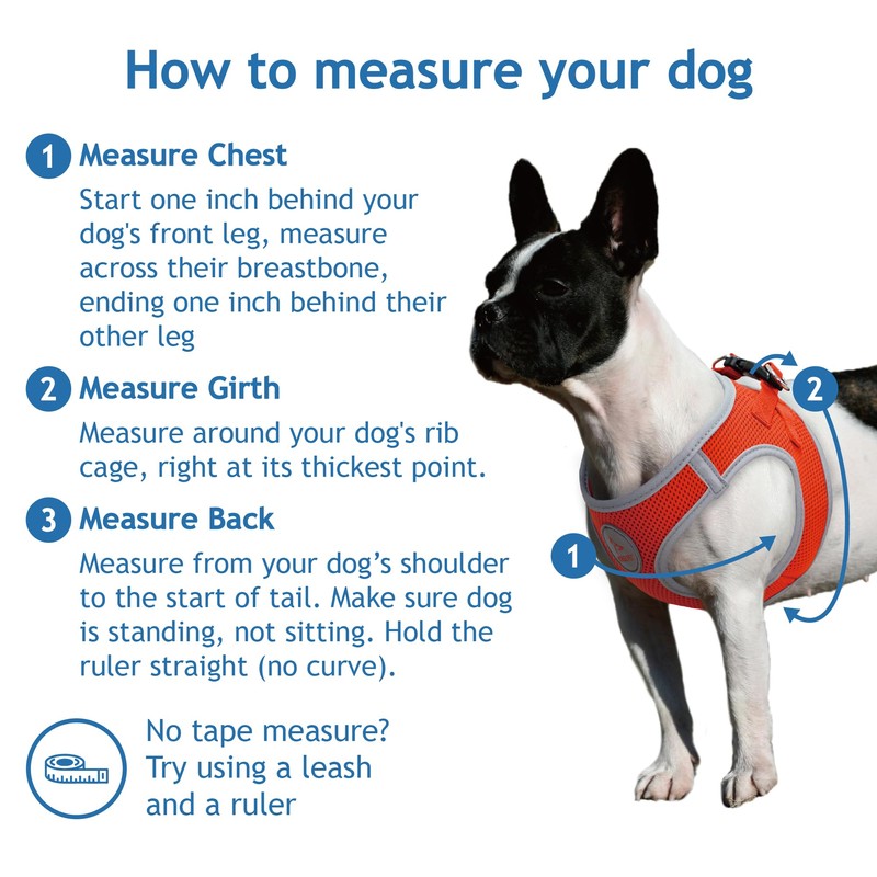 DOCO Dog Harness for Large Sized Dog - Athletica Adjustable,