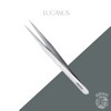 Lucanus tweezers eyelash tweezers tweezer straight professional P01 / 루카너스