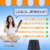 WHENFOR Hisense ERF3D46H Hisense LCD TV Remote Control with Voice