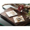 Shell Coasters, Set of 5, Asian Goods, Natural Shells, Capiz,
