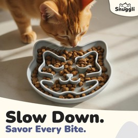 Snuggli Slow Feeder Cat Bowl | Cat Puzzle Feeder for Slow Eating, Mental Enrichment, Digestion, & Bloat Relief | Non-Slip Silicone, Dishwasher Safe, 1 Cup (Slate)