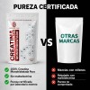Creatina Monohidratada en Polvo Bonsanté Labs Sin Sabor 400g