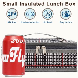 FlowFly Small Insulated Lunch box Portable Soft Bag Mini Cooler Thermal Meal Tote Kit with Handle for Work & School (W&B)