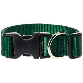 LupinePet Basics 1" Green 12-20" Adjustable Collar for Medium and Larger Dogs