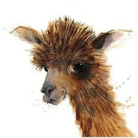 Almanac Artistic Blank/Birthday Card (GBCC-AGAM0100) - Alpaca by Becky Brown - Animal Magic Range