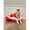 Midlee Dog Santa Claus Costume (X-Large)