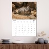 Irresistible Chinchillas (Monthly Wall Calendar 2026 16.5" x 23.4" (open)),