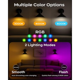 Black Vintage Wireless Battery Operated Wall Sconces — Industrial Cordless Battery Powered LED Wall Lights Set of 2, Wall Lamp with Remote, Indoor Wall Lamp Fixture for Bedroom, Farmhouse, Gallery