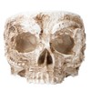 Innovative Resin Skull shaped Flower Pot Succulent Planter Holder Ornament