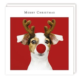 Tracks Publishing Charity Christmas Cards - Jack Russell Rudolph - Eco-Friendly - Pack of 5 Cards