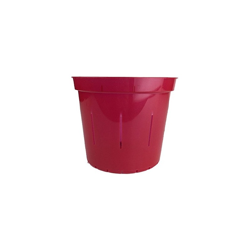 4" Slotted Clear Orchid Pots - 3 Pack (Ruby Red)