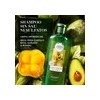 Shampoo sin sal Herbal Essences Nutre e Hidrata 400 ml