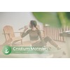 Pure Original Ingredients Cnidium Monnieri, (100 Capsules) Always Pure, No