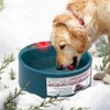 Babypet Pet Heated Bowl, 2000ml Thermal Automatic Constant Temperature Pet