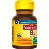 Nature Made B1 100 Mg 100 Count (5 Pack)
