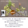 Tokushima Kuromoji Tea 0.2 oz (6 g) x 20 Bags