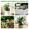 26oz Extra Large Plant Watering Globes, Self Watering Bulbs and