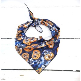 Caseeto Pet Pooch Boutique Nutty Pumpkin Dog Bandana ML, 30 g