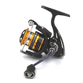 Daiwa 19 Ninja BG LT 2000 XH Reel