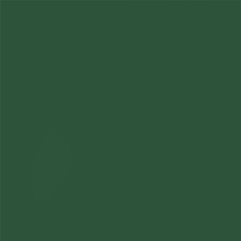 Rust-Oleum 7732502 Stops Rust Brush On Paint, Quart, Satin Hunter